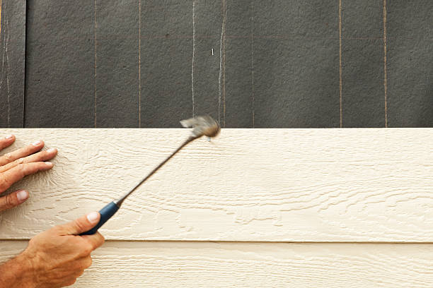 Affordable Siding Repair and Maintenance Services in Hanover, MN